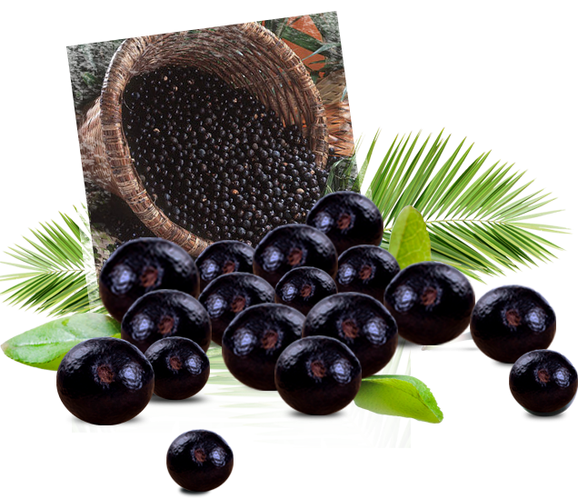 Acai Berry Png - Acai Berry Fruit Png (636x549), Png Download
