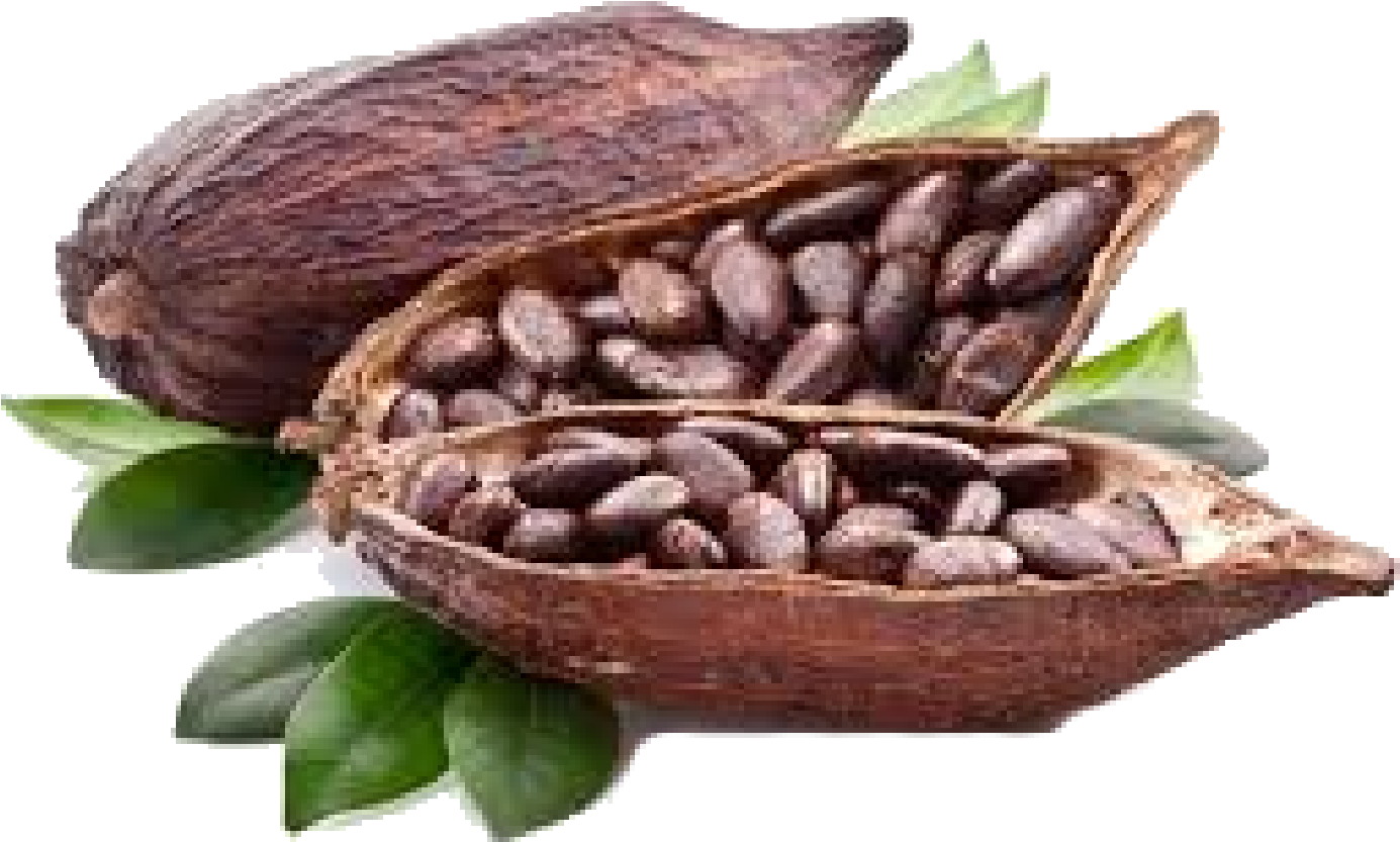 *defected > All Infected/twisted/beans Counts Applies - Bioglan Superfoods - Supergreens Cacao Powder (100g) (1400x1048), Png Download
