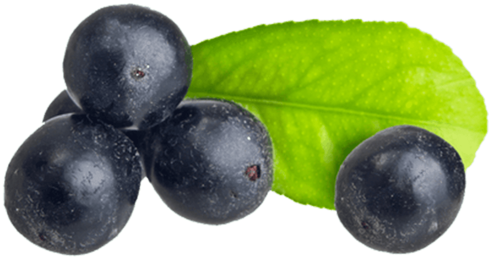 What Is Açaí - Acai Berry Supplement: Alternative Medicine (1024x768), Png Download