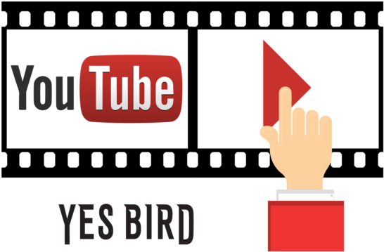 Se Você Curte Pássaros Assim Como A Gente, Dá Uma Conferida - 50 Big Tips On How To Improve Your Youtube Channel (700x495), Png Download