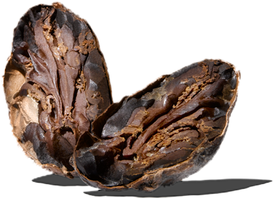 The Cocoa Bean | Bakery, Drinks, Ice Cream (450x450), Png Download