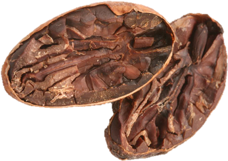 Peru Organic Cocoa Beans 1 Kg - Aztec Cocoa Beans (517x329), Png Download
