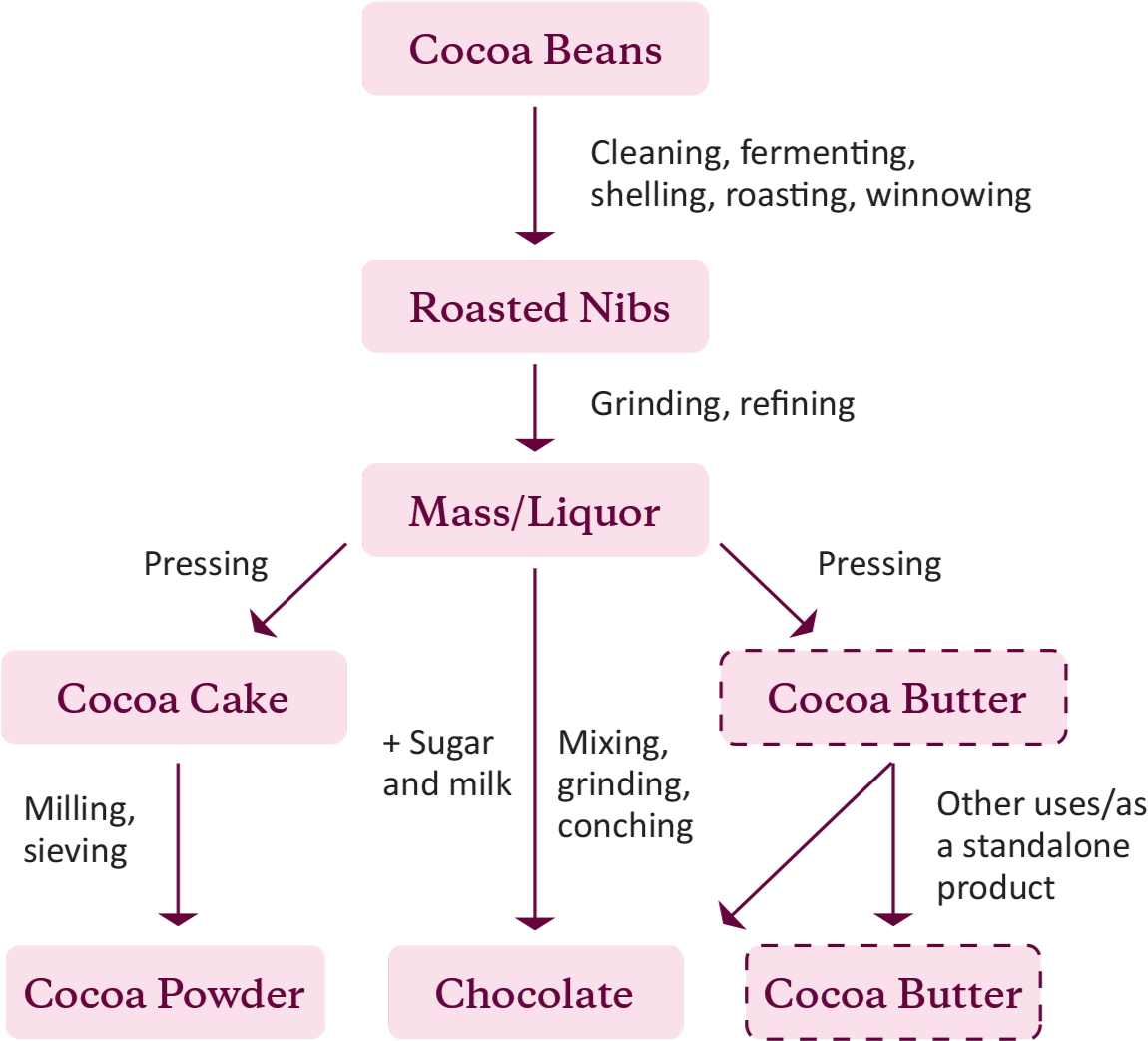 The Process Involves Harvesting Cocoa, Refining Cocoa - Process Of Cocoa Beans (1269x1132), Png Download