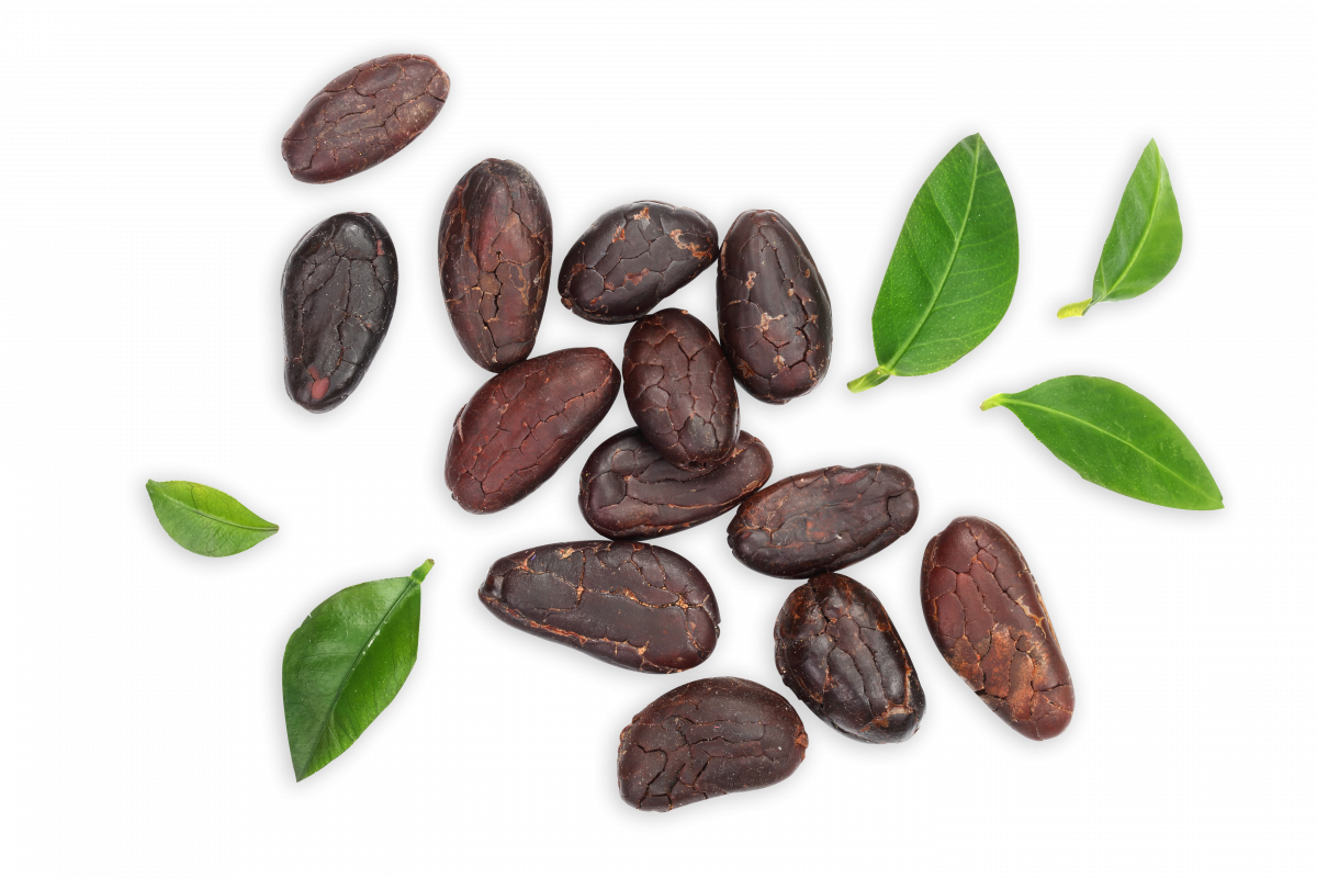 Also, May Contain Nuts, Peanuts, Milk And Soya - Cocoa Bean (1200x800), Png Download