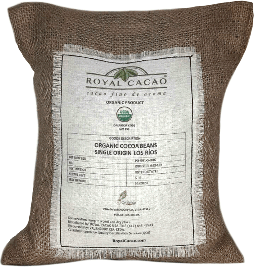 Organic Usda Certified Cocoa Beans - Cocoa Bean (1000x1003), Png Download