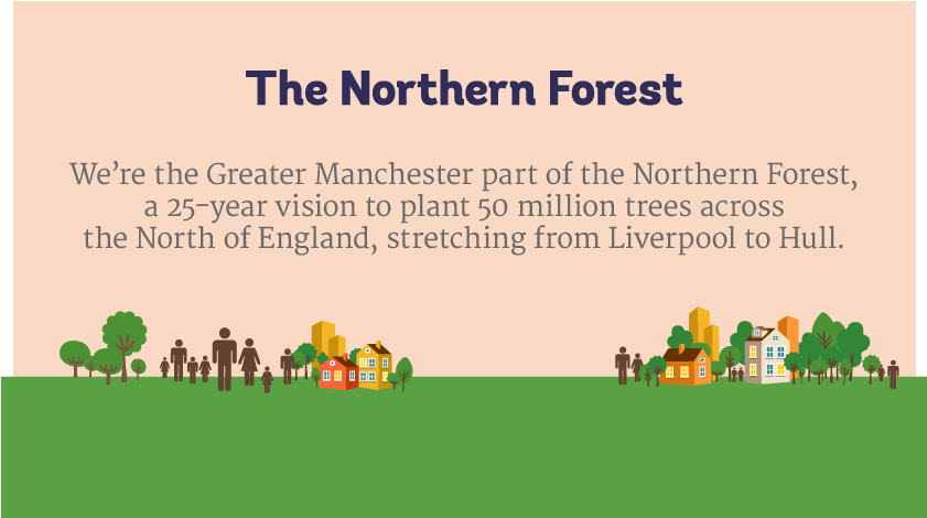 Northern Forest - Grass (840x480), Png Download