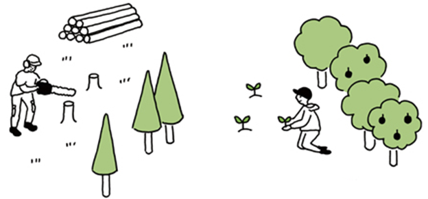 We Make The Best Of Their Forestry Technologies And - Cartoon (670x290), Png Download