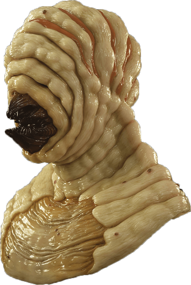 The Larva Silicone Mask - Scary Silicone Masks (636x946), Png Download