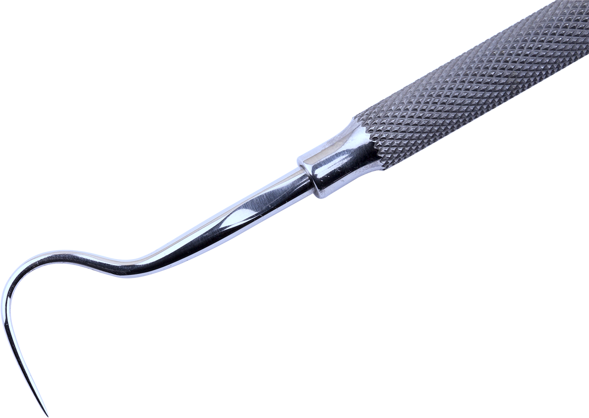 Dental Explorer - Garden Tool (1200x852), Png Download