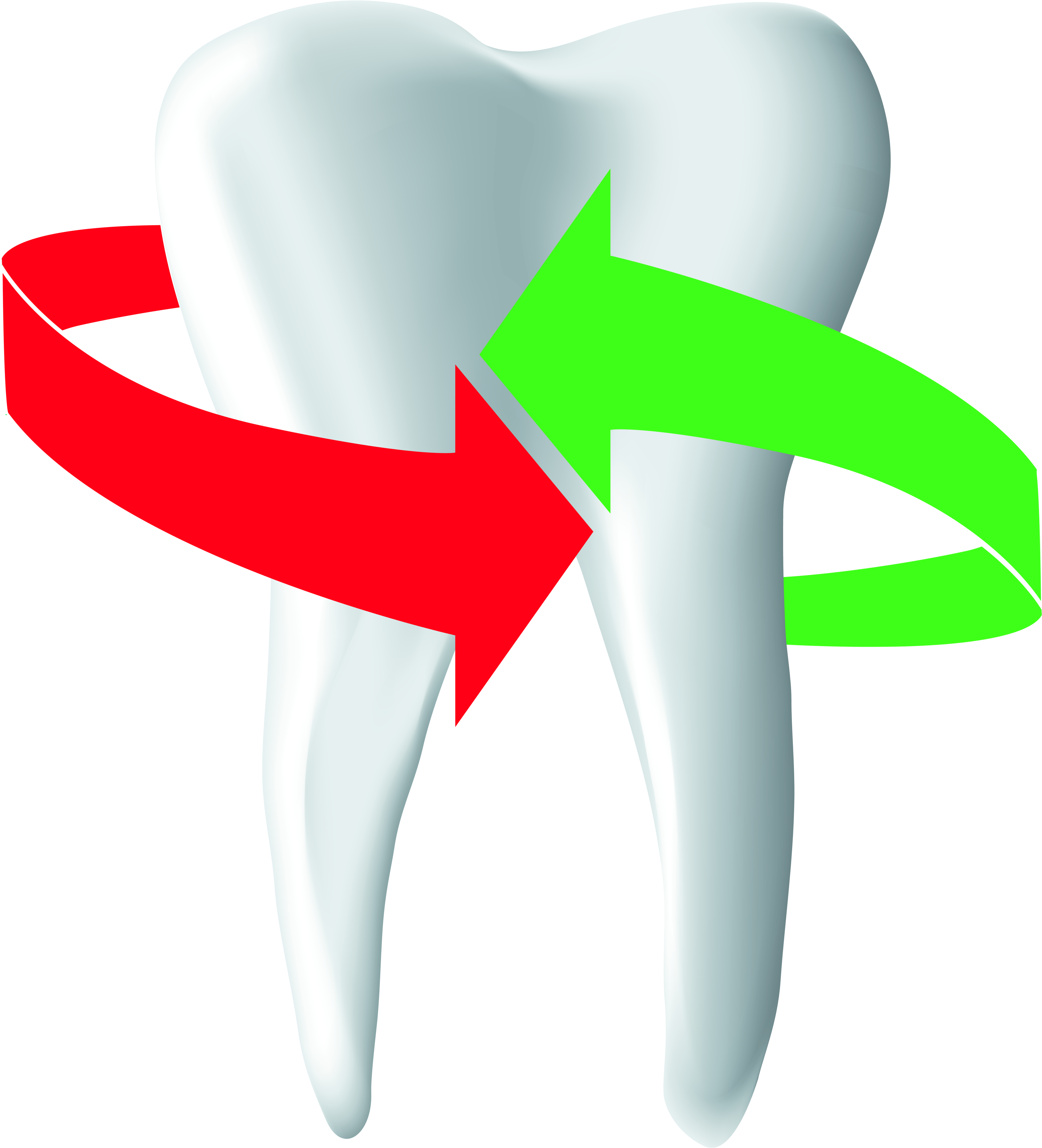 N - Z - O - Z - Rodent (8838x8244), Png Download