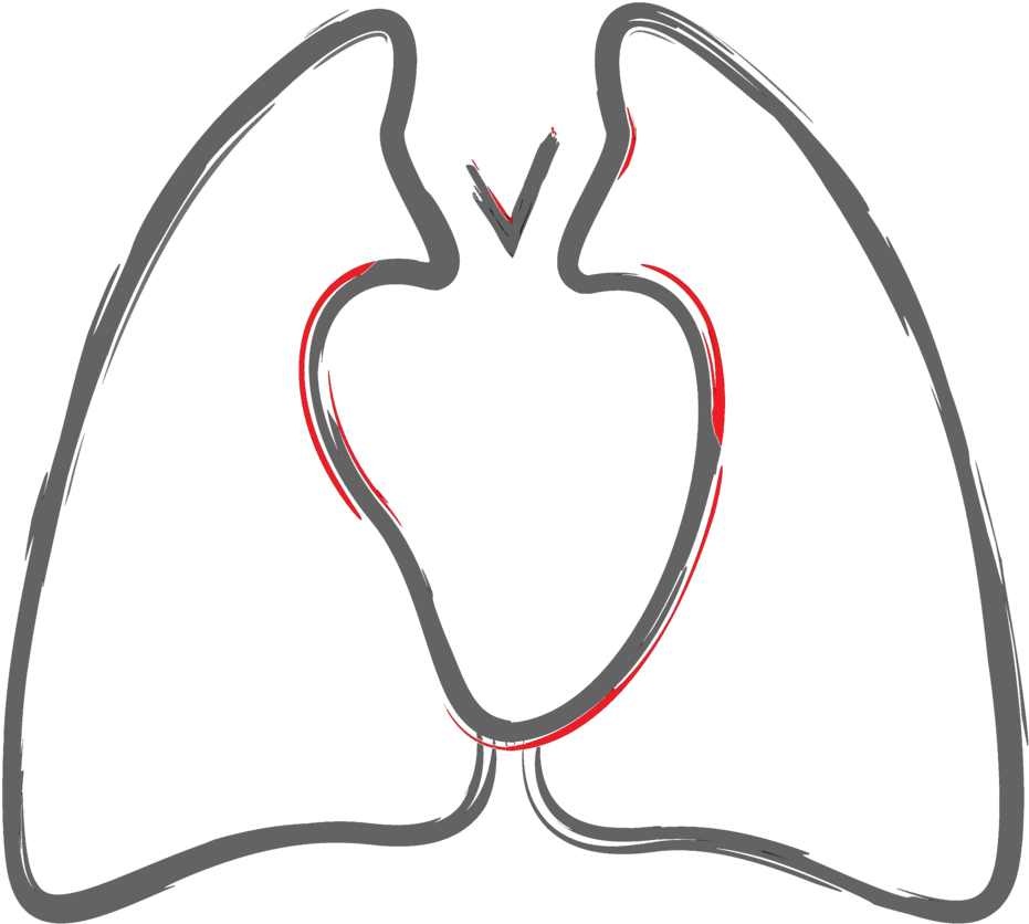 Tri&tri Color Fixed No Background (1000x1000), Png Download