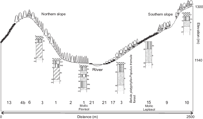 Vegetation Profile From The Eastern Study Area In The - Vegetation (811x476), Png Download