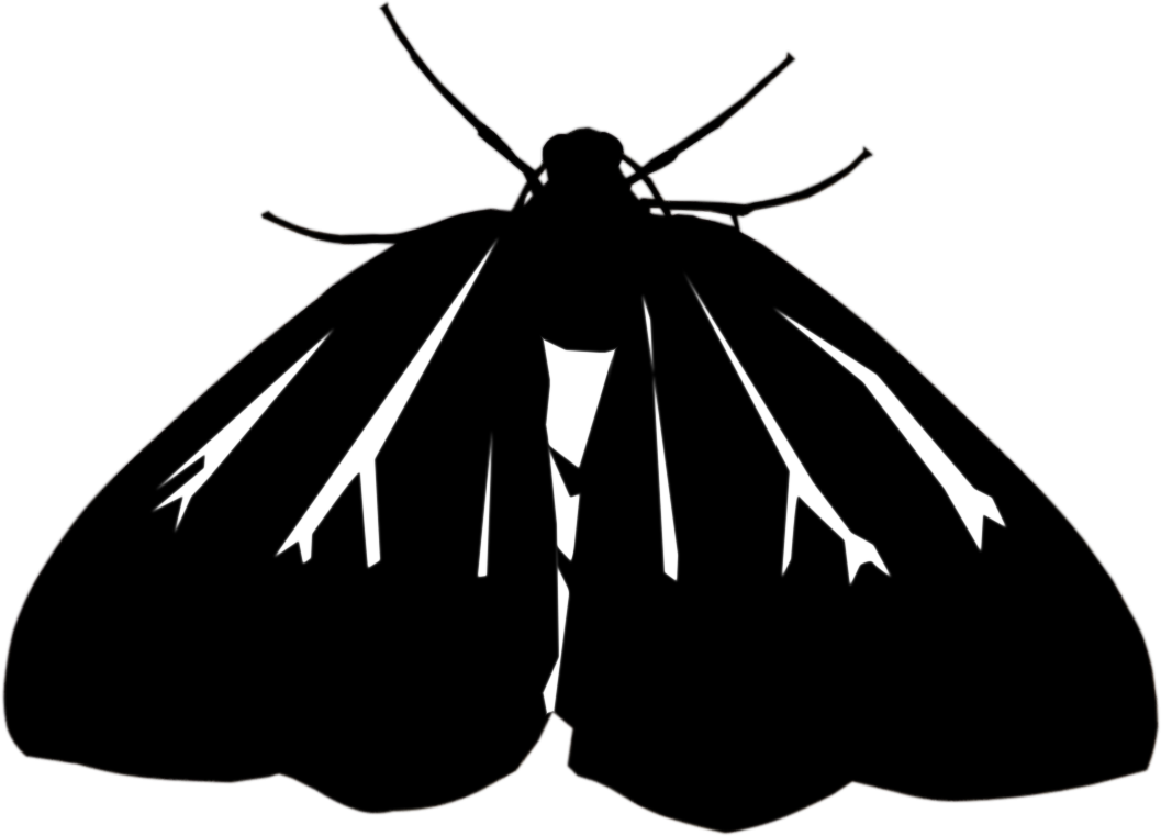 Moth Graphic - Butterfly (1057x761), Png Download