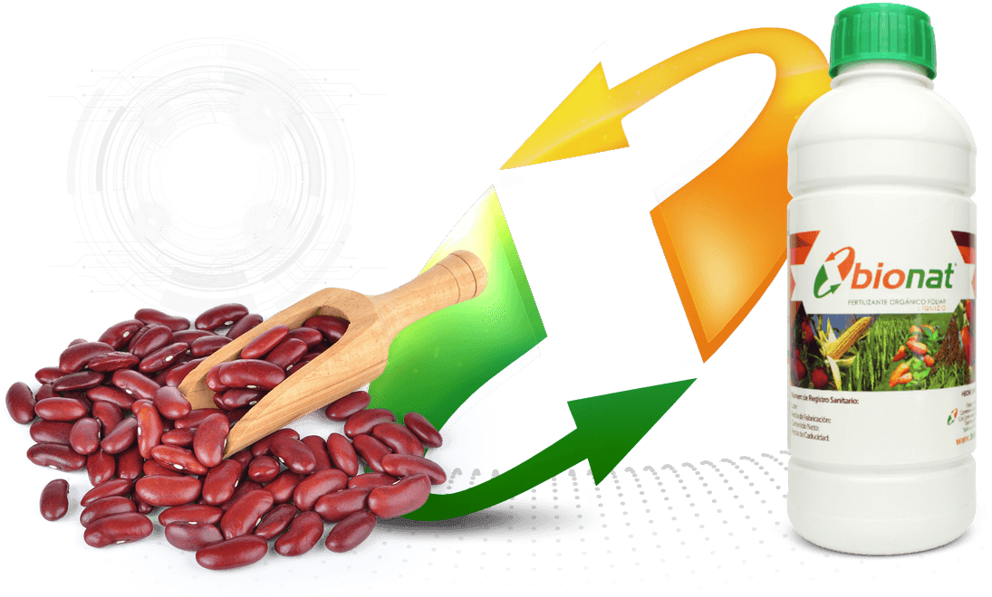 Frijoles - Kidney Beans (1172x698), Png Download