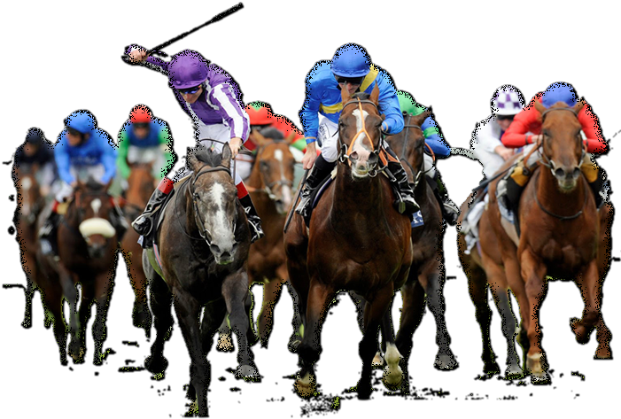 Horse Racing With Citibet - Horse Racing Png (700x485), Png Download
