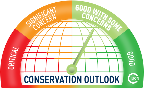 Canadian Rocky Mountain Parks - Australian Fossil Mammal Sites (riversleigh / Naracoorte) (594x394), Png Download