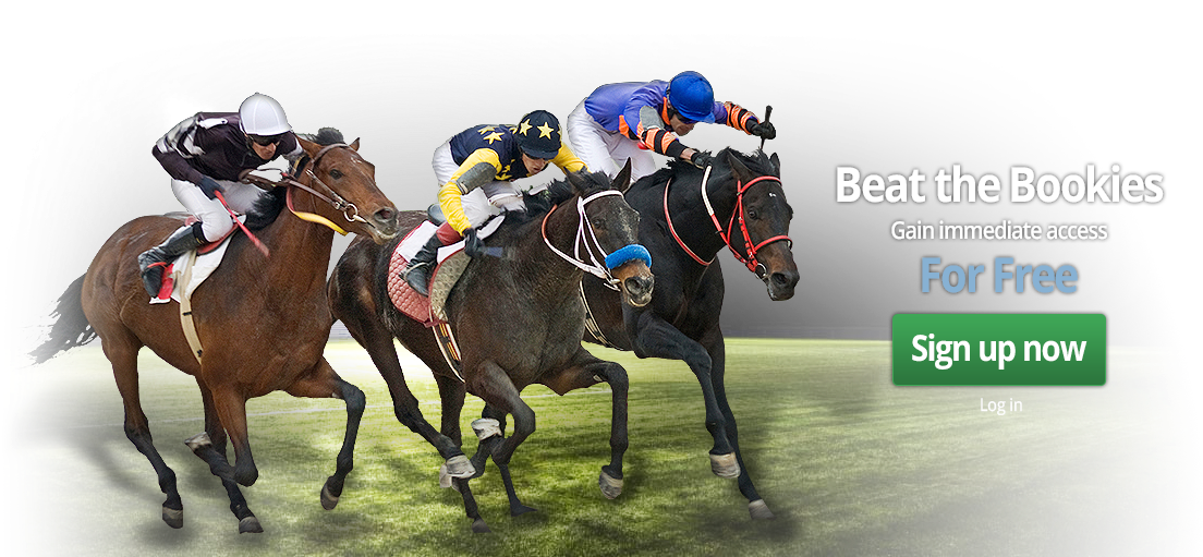 Horse Racing Advice Every Race Day - Horse (1133x510), Png Download