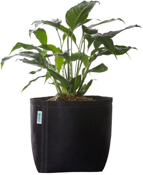 Black Square Bottom Geopot - Flowerpot (600x600), Png Download