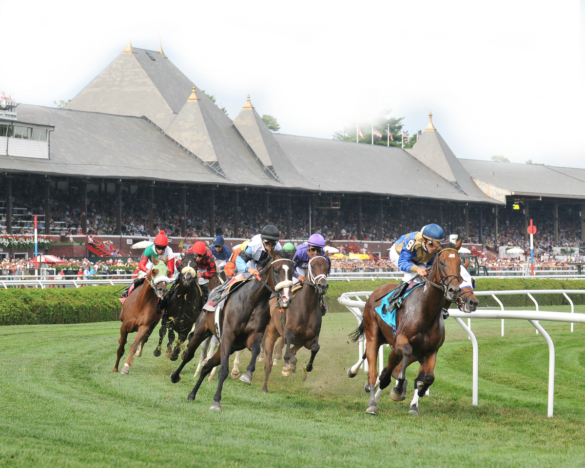 24 Aug - Flat Racing (1200x960), Png Download