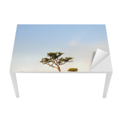 Zurück In Die Wildnis-ein Kleiner Elefant Auf Den Dvd (400x400), Png Download