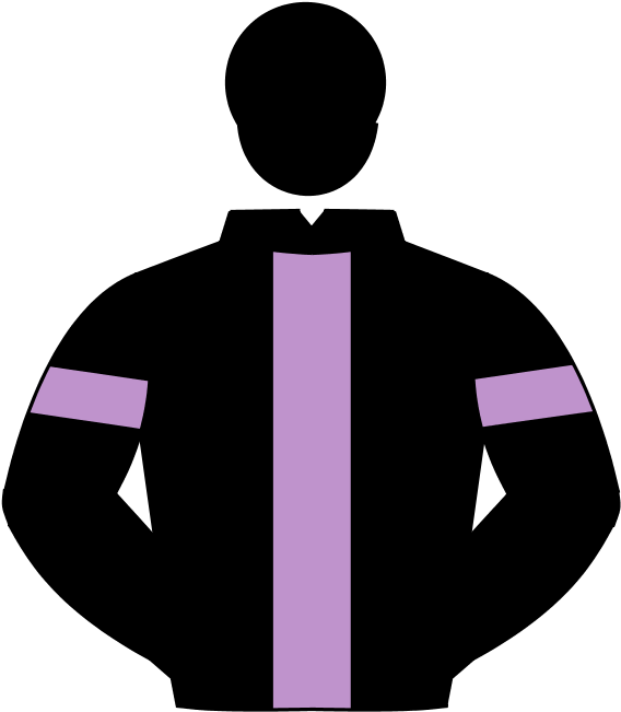 I Am A Novice When It Comes To Horse Racing But Have - Horse Racing (600x700), Png Download