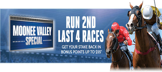 This Saturday And If Your Selection Finishes 2nd In - Stallion (555x249), Png Download