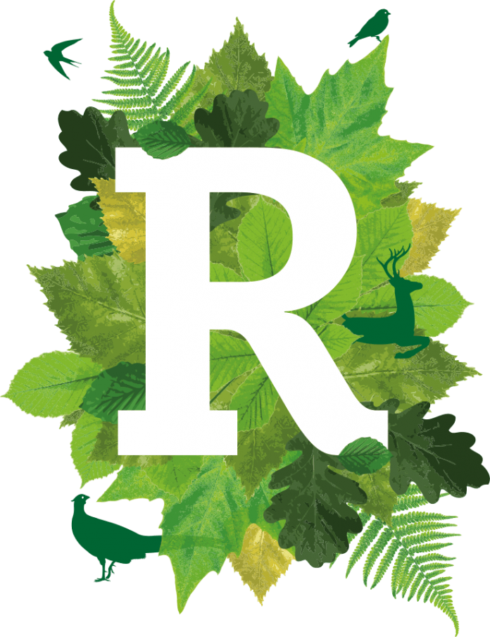 Ivy Clipart Service Award - Rural Business Awards 2018 (696x904), Png Download
