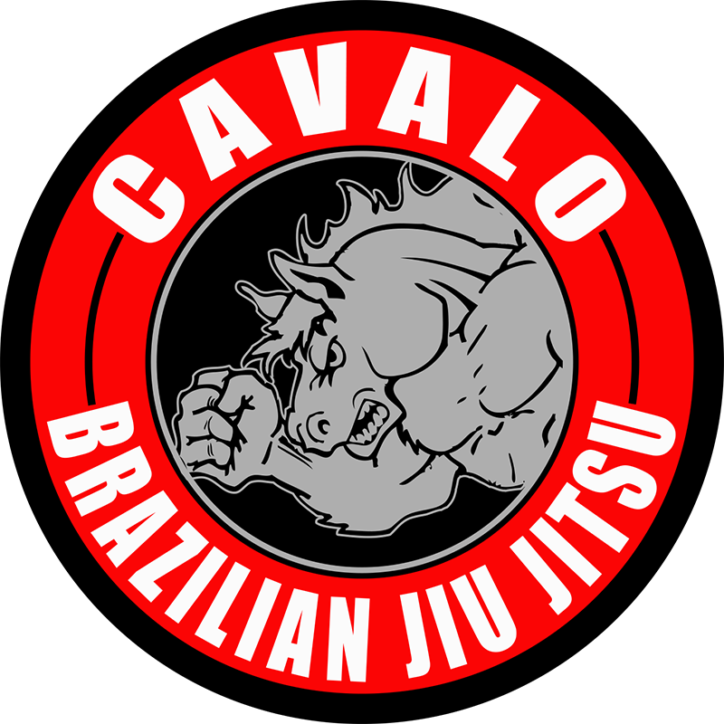Cavalo Brazilian Jiu Jitsu - Marek Hemmann Who Two (800x800), Png Download