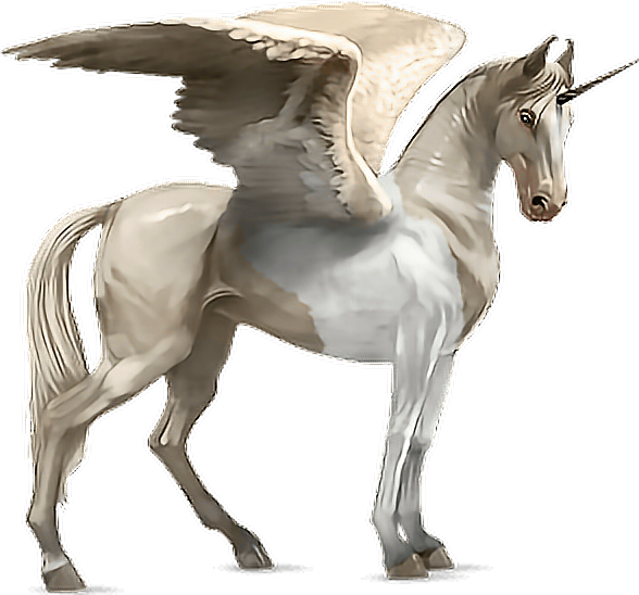 Horse Alado Aladus Cavalo Asas Wings Mikah014 - Howrse Akhal Teke (588x548), Png Download