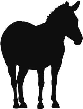 Cavalo Clip Arte Animais Selvagens De Fundo - Sound Transit 3 Pictograms (640x640), Png Download