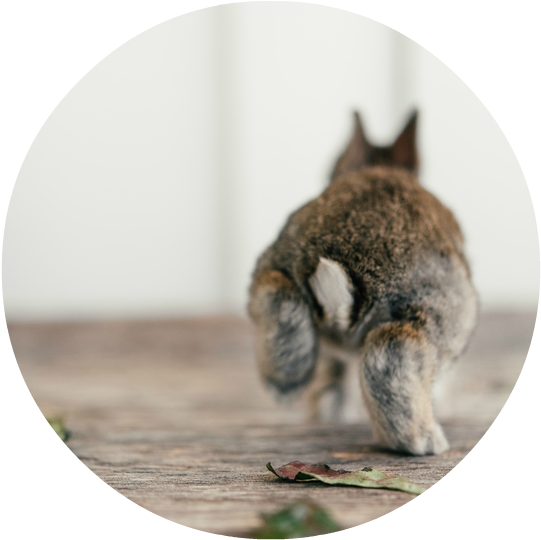 And Yes, There Are Side-effects - Paw (547x548), Png Download