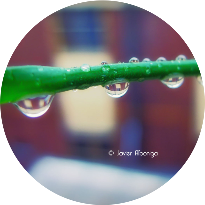 Gotas De Lluvia - Drop (1280x1042), Png Download