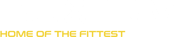 Boas Festas, Logo Box1rm E Sorteio - Doom Eternal Eternal Wood (737x215), Png Download