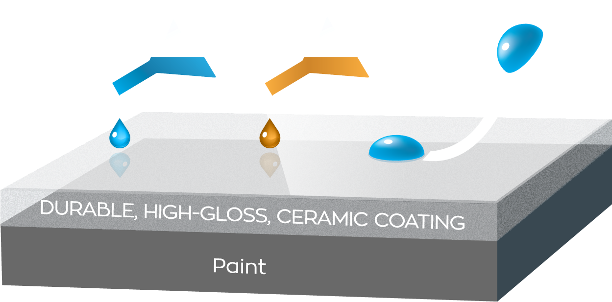 Its Highly Dense Layer Is Resistant To Chemicals From - Diagram (1583x1033), Png Download
