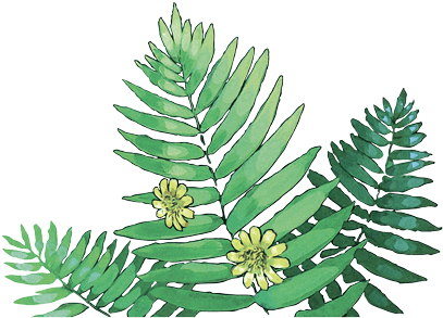 Join Satsuki And Mei On Their Amazing Adventures In - Illustration (444x350), Png Download