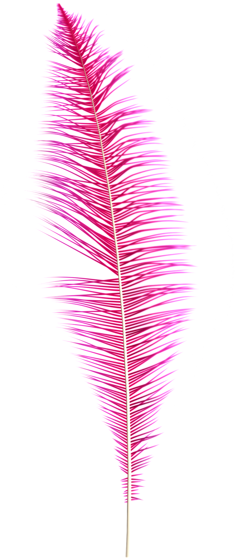 Fantasy Pink Feather Png - Portable Network Graphics (1024x2048), Png Download