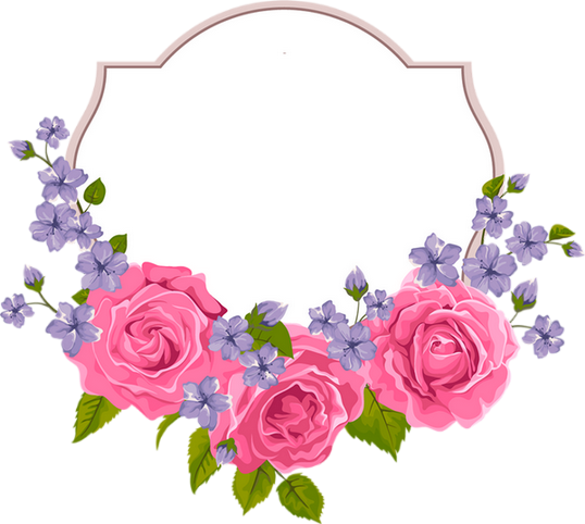 Olshop (538x482), Png Download