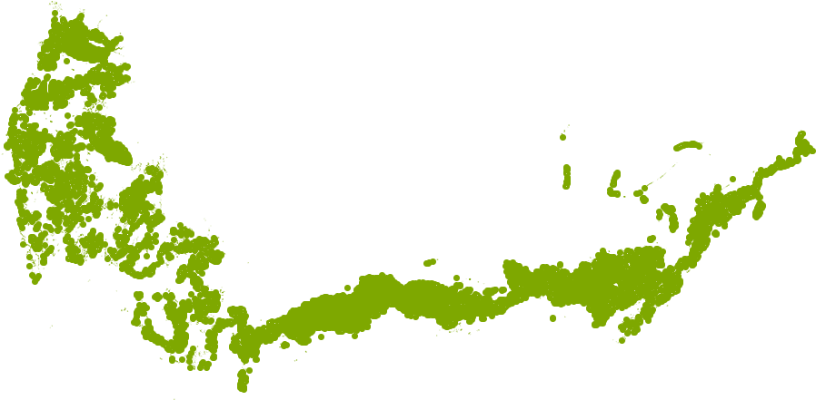 Fire Chief Arborvitae Grows Well In Zone 6b - Shasta Daisy (1000x662), Png Download