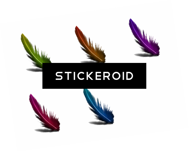 Feather - Graphic Design (655x529), Png Download