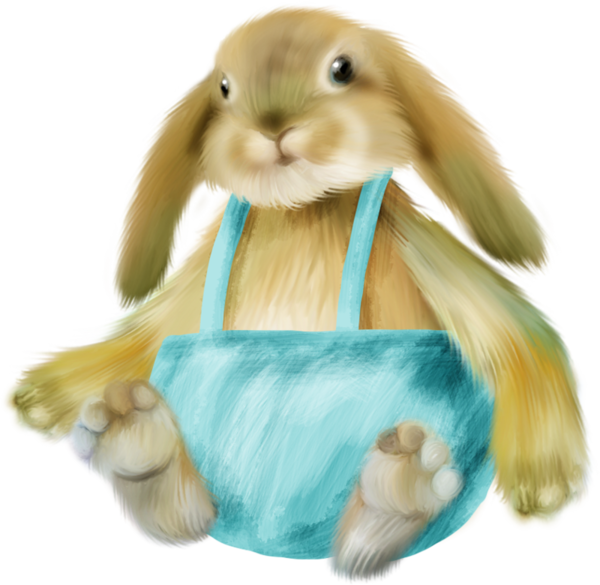 Rabbit (600x585), Png Download