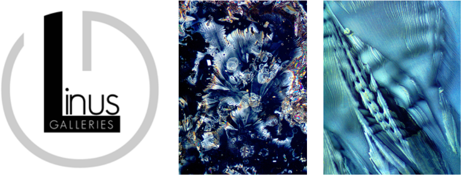 Two Wine Diamond Art Images Have Been Chosen For Exhibition - Fractal Art (898x342), Png Download