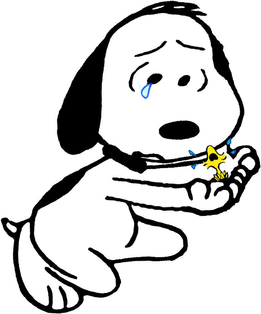 Amigos Que São Verdadeiros, Compartilham Suas Lágrimas, - Snoopy Triste (888x1012), Png Download