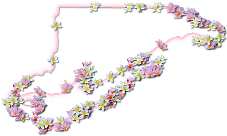A Map Of Franklin With A Coral Color Glow Border And - Map (768x461), Png Download