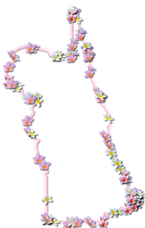 A Map Of St - Floral Design (490x768), Png Download