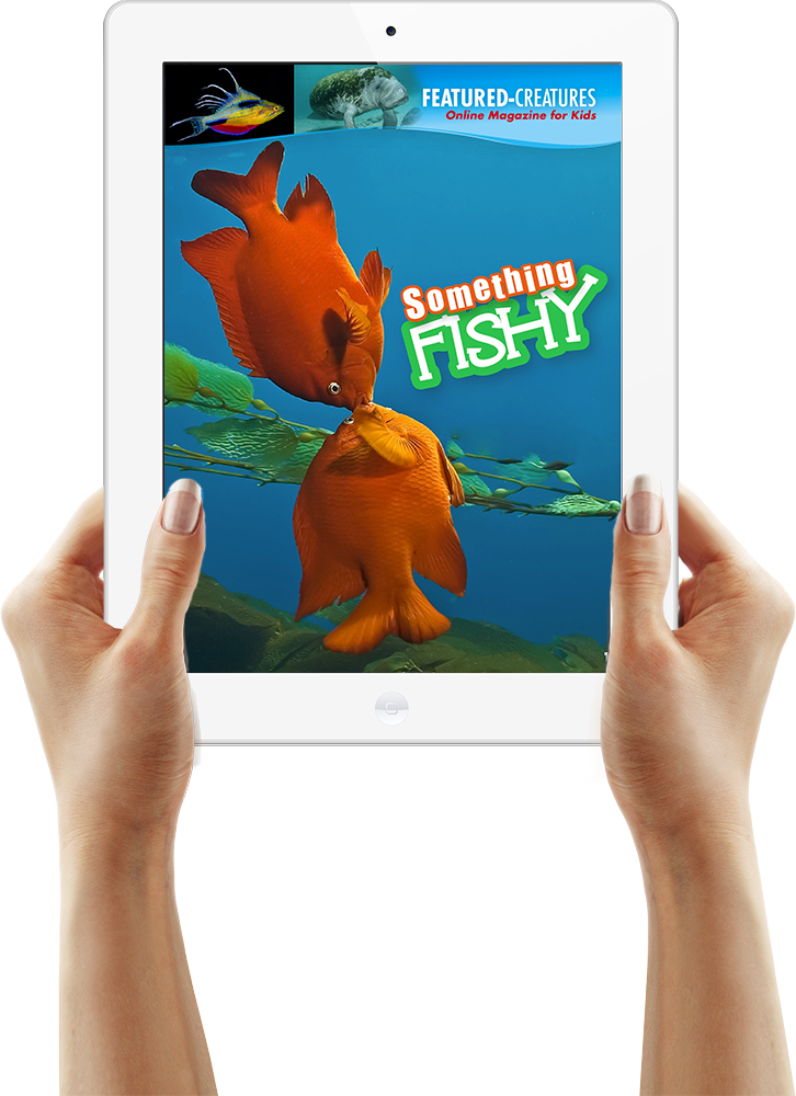 Hands Ipad 2x - Gadget (726x1000), Png Download