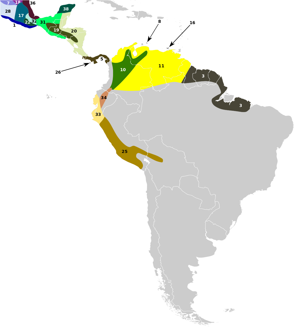 White Tailed Deer South America (1200x1297), Png Download
