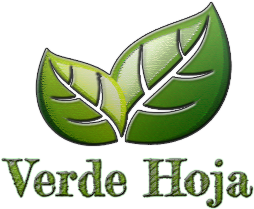 Pokémon Firered And Leafgreen (567x482), Png Download