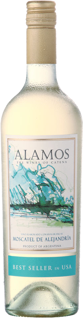 Alamos Moscatel De Alejandría - Alamos Moscatel De Alejandria (1200x1200), Png Download