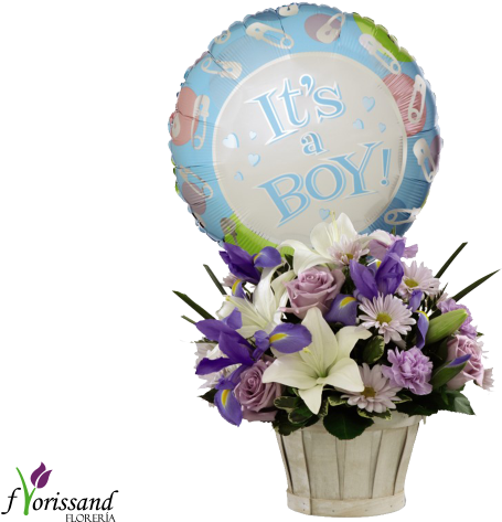 It´s A Boy $750 - New Flowers (600x500), Png Download