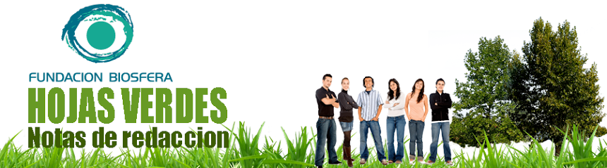 Grass (860x239), Png Download